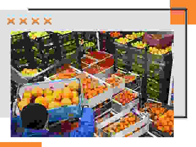Перевозка скоропортящихся продуктов в Мегионе